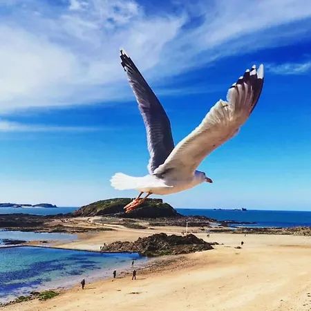 Escapade A Ploubalay : Maison Moderne De Plain-pied Beaussais Sur Mer